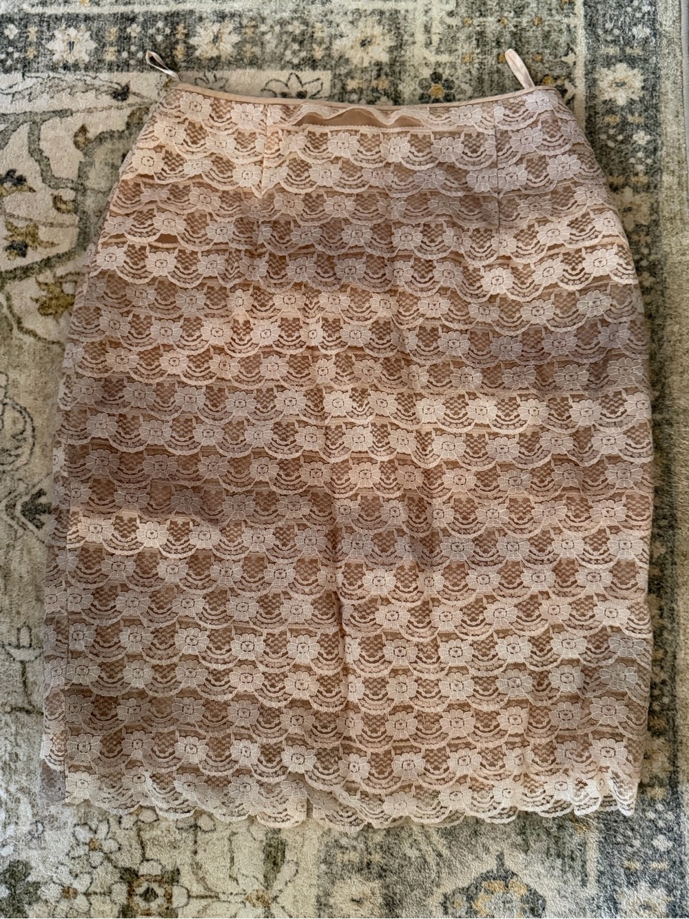 Source Unknown Blush Lace Pencil Skirt